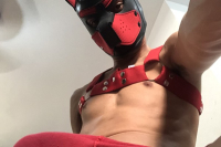 Leitador Flex