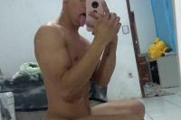 Novinho Palhoça