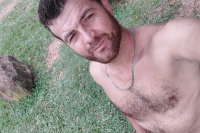 Gato loiro