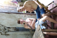 Picudos novinhos